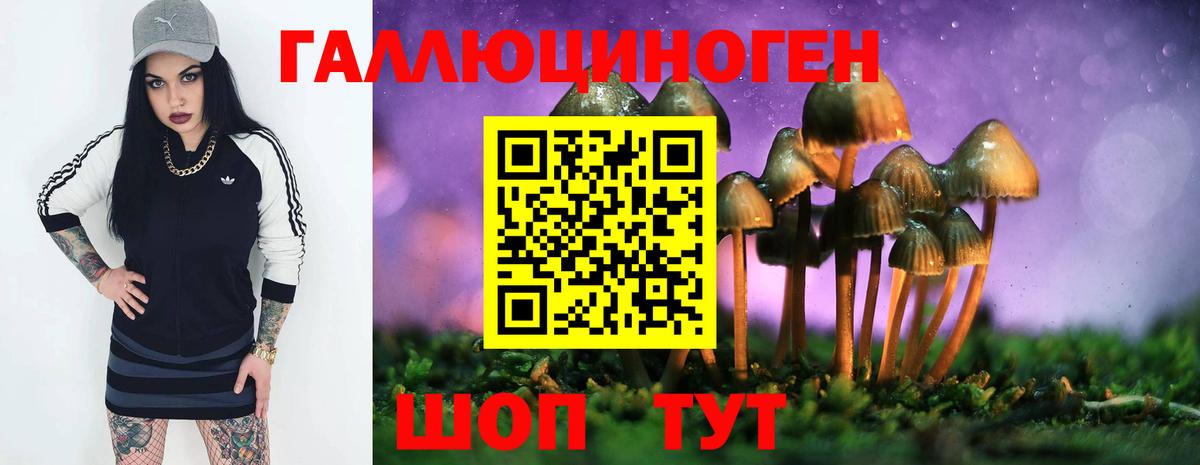 Псилоцибиновые грибы Cubensis  Псилоцибиновые грибы Psilocybine cubensis  Вход с VPN  Грязи 